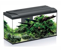 HS Aqua Platy 110 Led 80x31x46 cm 110 Liter