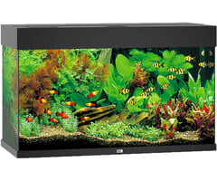 Juwel Aquarium Rio 125 LED