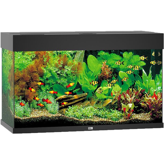 Juwel Aquarium Rio 125 LED