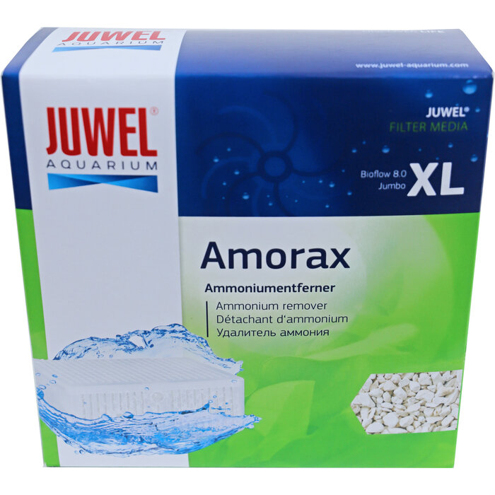 Juwel Amorax
