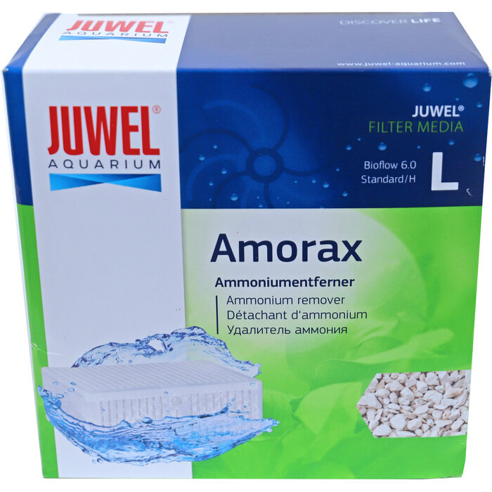 Juwel Amorax
