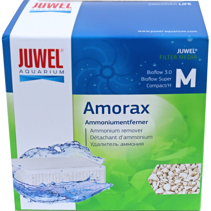 Juwel Amorax
