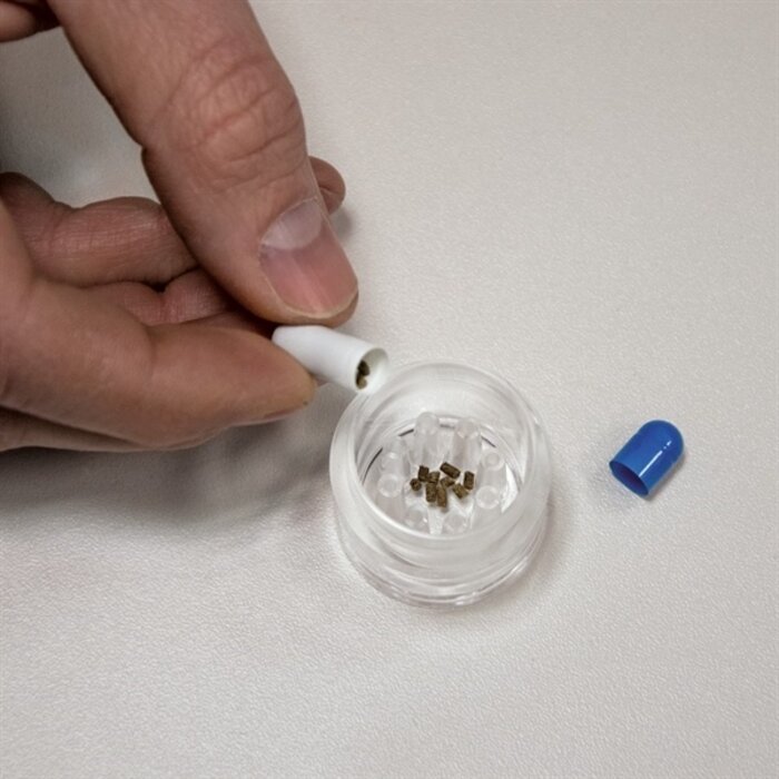 Hobby Planaria X Special Bait P/5