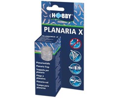 Hobby Planaria X