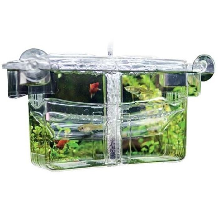 Hobby Nido 4 Afzetbakje 23x10x11.5 cm