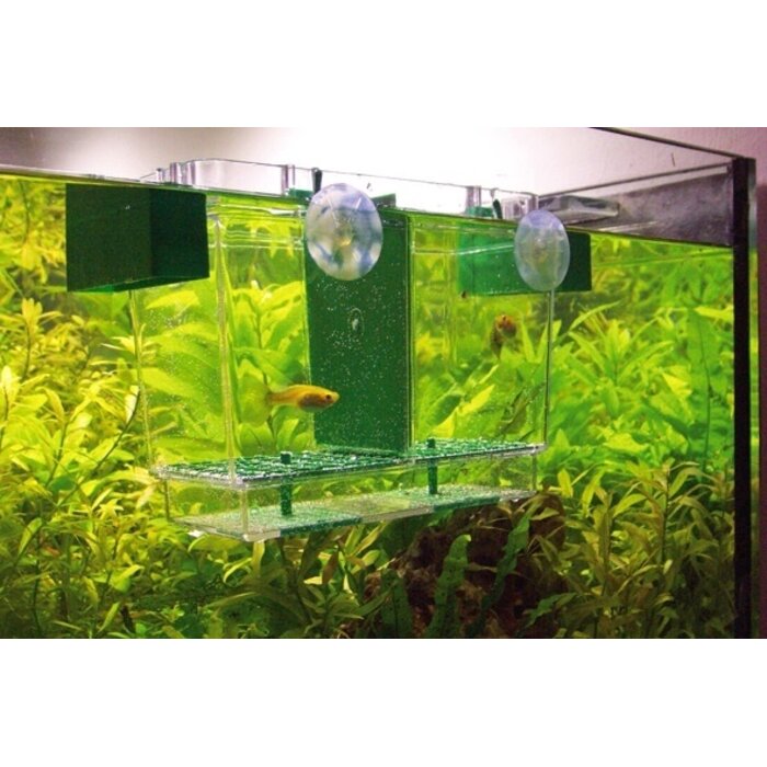 Hobby Nido 2 Afzetbakje 21x16x14 cm