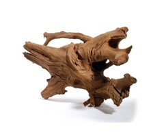 HS Aqua Mangrovehout