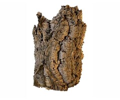 HS Aqua Kurkschors P/St