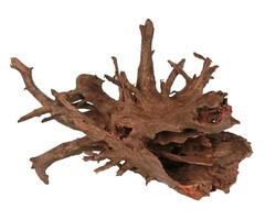 HS Aqua Corbo Root