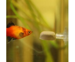 Dupla Gel-O-Drops Houder