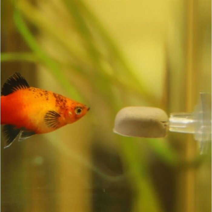 Dupla Gel-O-Drops Houder