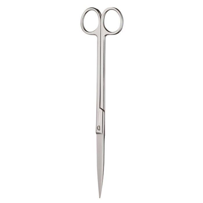 Chihiros Schaar 21 cm