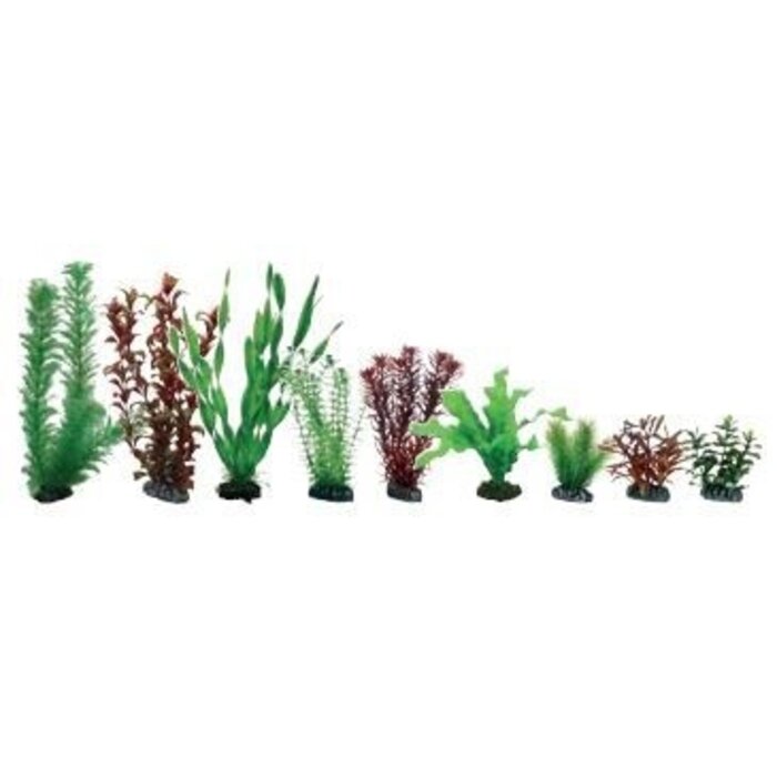 Hobby Plantasy Set