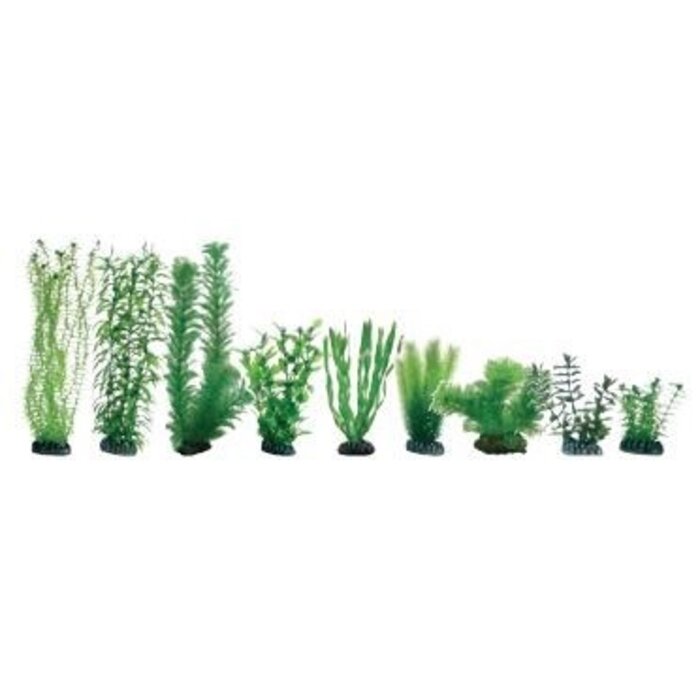 Hobby Plantasy Set