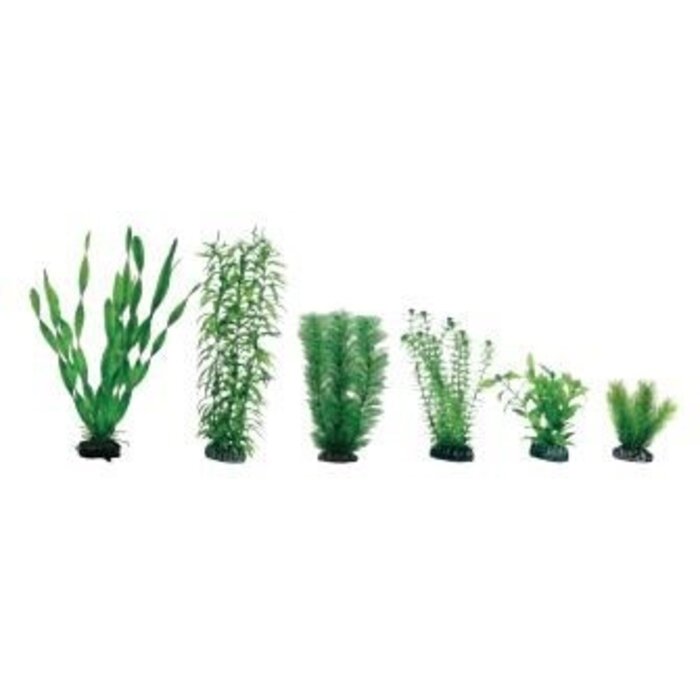 Hobby Plantasy Set