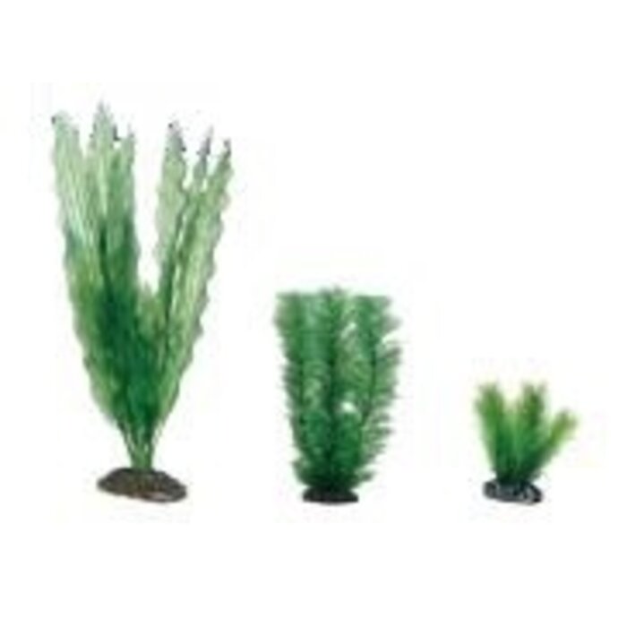 Hobby Plantasy Set