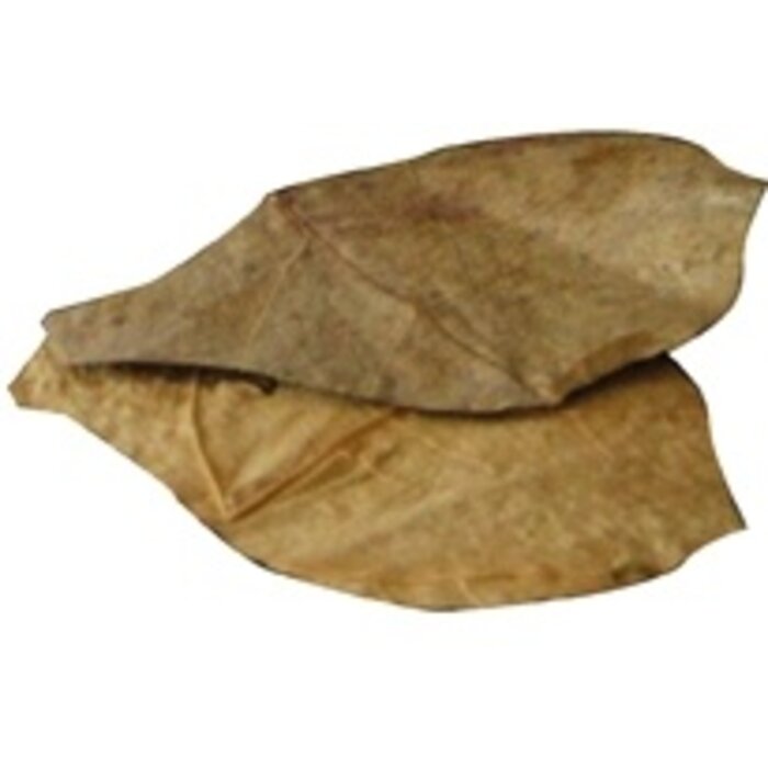 Dennerle Nano Catappa Leaves P/12