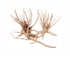 Wabi Kusa Slim Wood 7-18 cm P/2