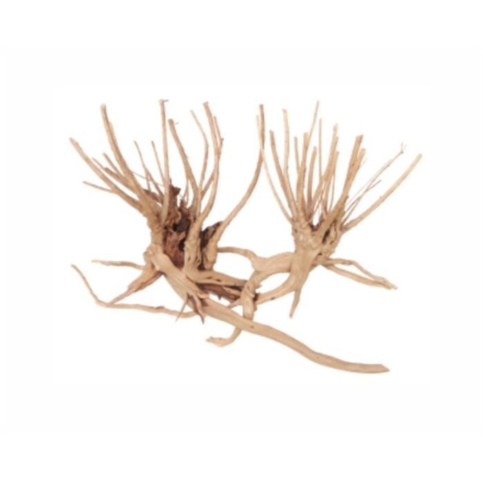 Wabi Kusa Slim Wood 7-18 cm P/2