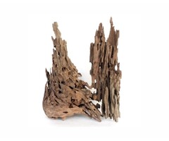 Wabi Kusa Honeycomb Wood 5-12 cm P/2