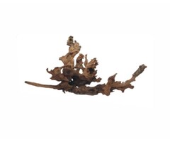 Wabi Kusa Drift Wood 5-12 cm P/2