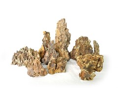 Wabi Kusa Dragon Rock #XS 5-12 cm 0.6 kg