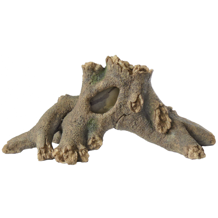 Superfish Tree Wortel