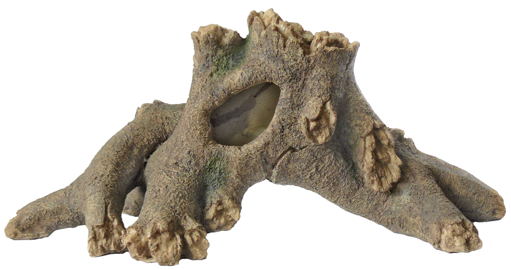 Superfish Tree Wortel