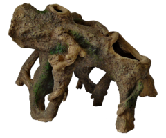 Superfish Staande Wortel Medium 17x12.5x14 cm