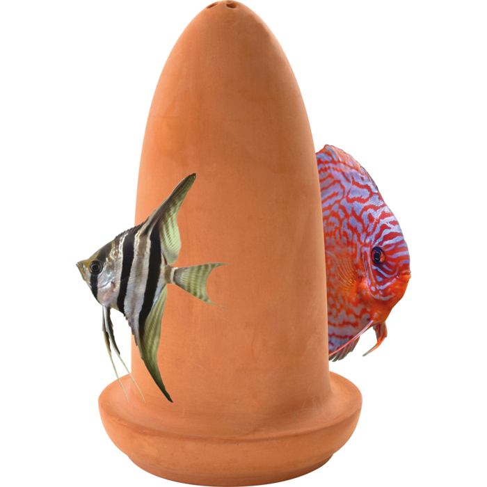 Superfish Spawning Cone
