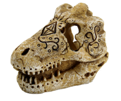 Superfish Skull T Rex