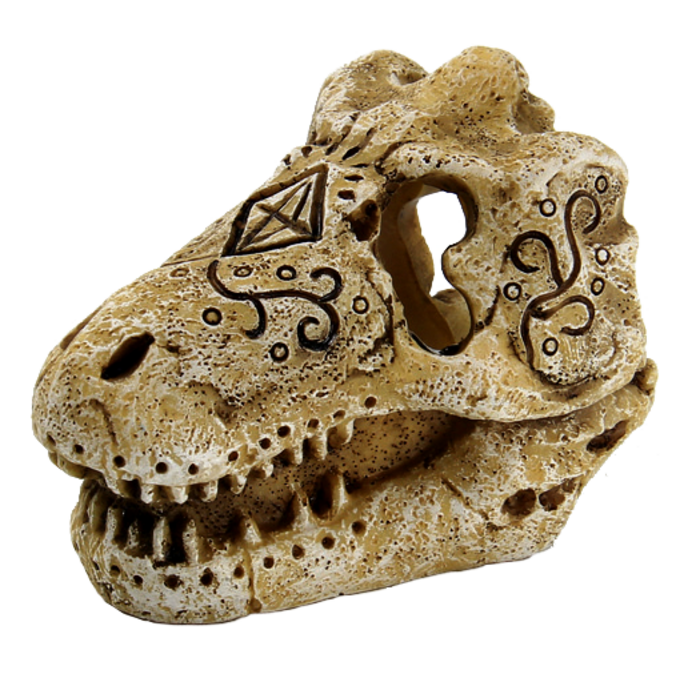 Superfish Skull T Rex