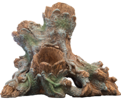 Superfish Scapers Wood Planty