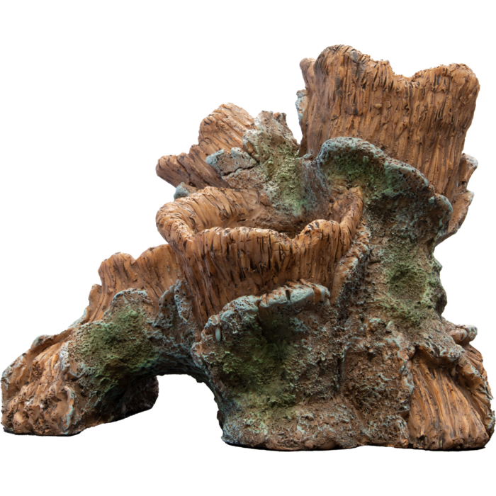 Superfish Scapers Wood Planty Large 28x12.5x21 cm