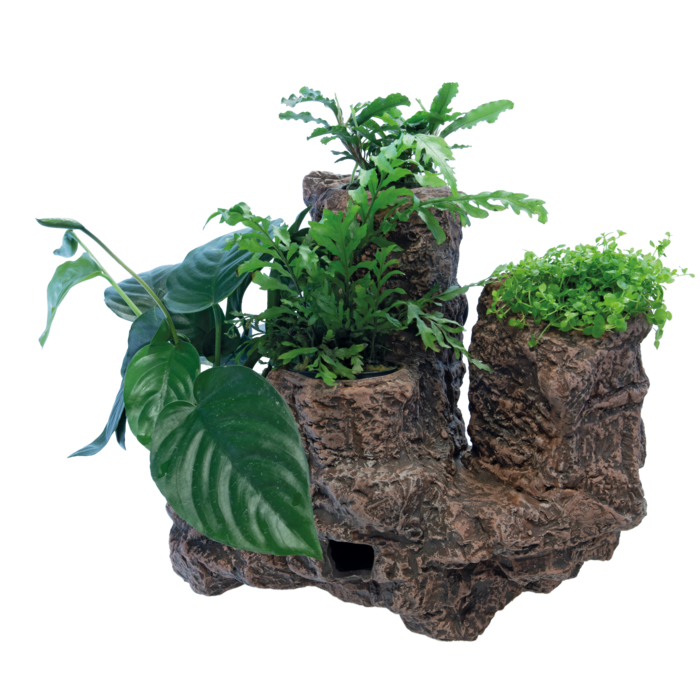 Superfish Scapers Floating Planty