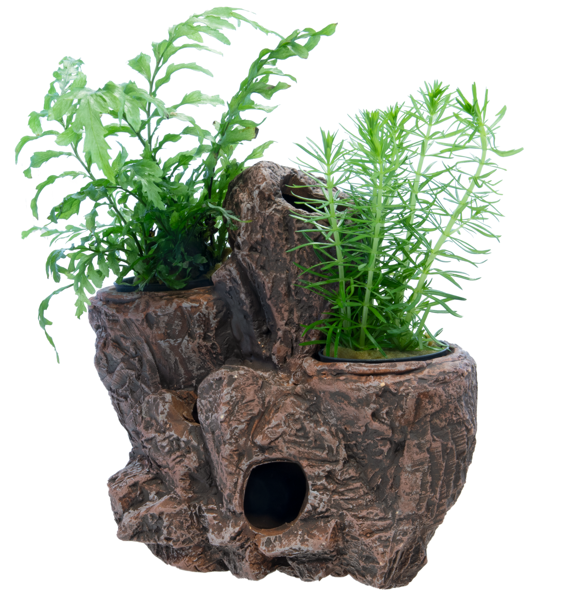 Superfish Scapers Floating Planty Large