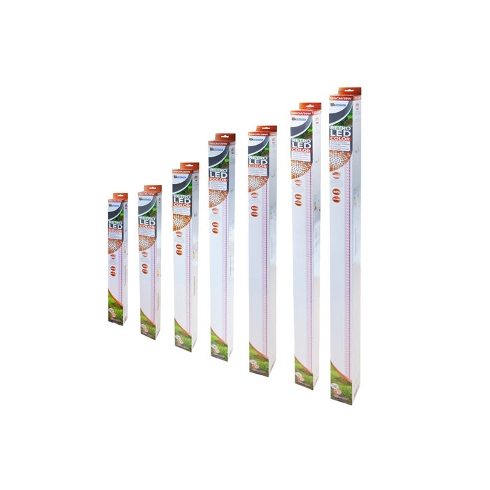 Superfish Retro LED Color