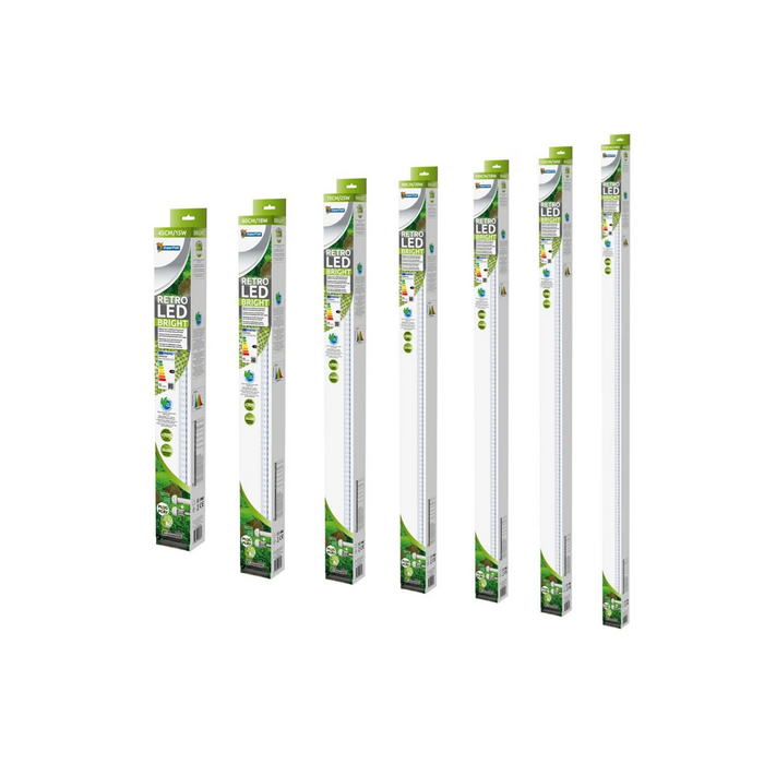 Superfish Retro LED Bright