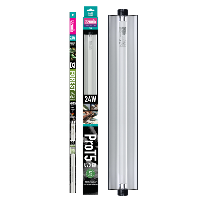 Arcadia Pro T5 Set Forest 6%  Uvb