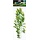 Plant Green 70 cm