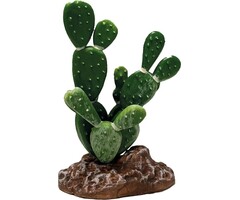 Repto Plant Cactus Opuntia