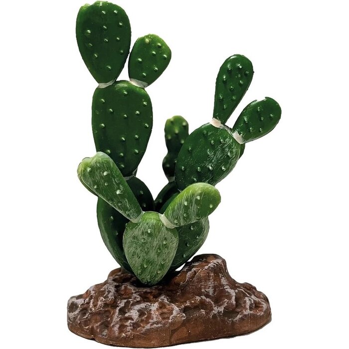 Repto Plant Cactus Opuntia