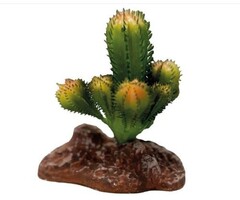 Repto Plant Cactus