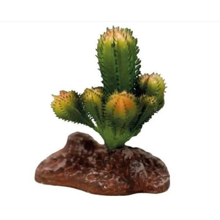 Repto Plant Cactus