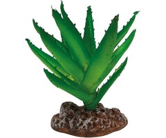 Repto Plant Aloe Vera