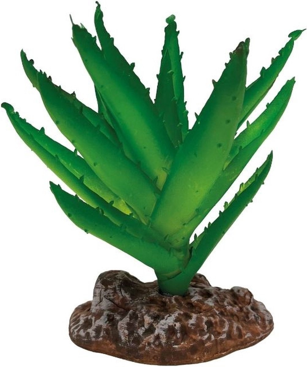 Repto Plant Aloe Vera
