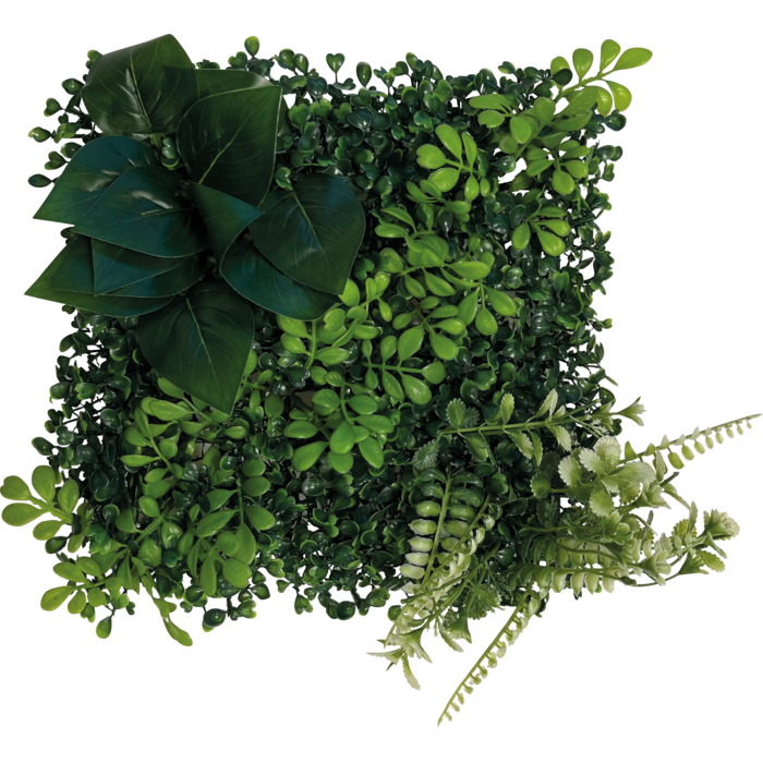 Repto Plant Achterwand Mat  25x25 cm