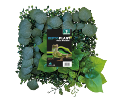Repto Plant Achterwand Mat  25x25 cm