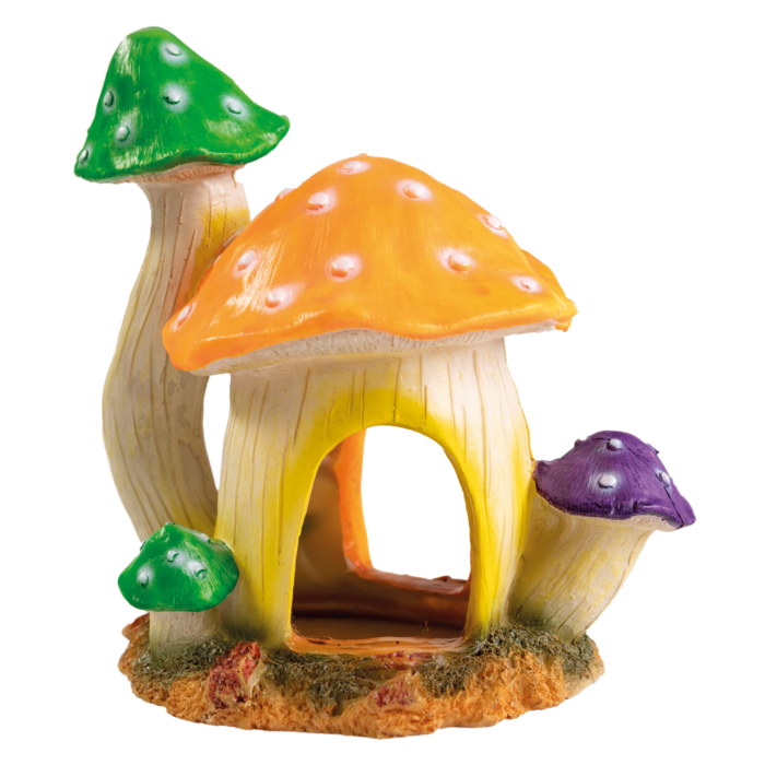 Superfish Mushroom House Large