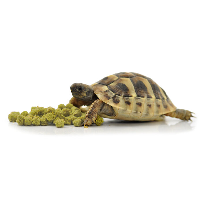 Habistat Landschildpad Voeding 400 gram